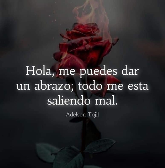 noemi_vidal